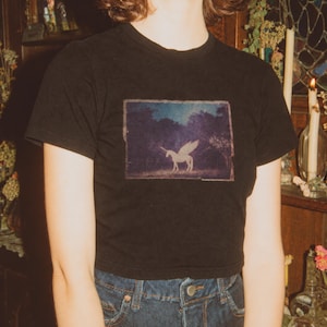May include: A black short-sleeved t-shirt featuring a rectangular graphic print on the chest. The print depicts a white winged unicorn standing in a dark, wooded landscape under a night sky. The shirt is paired with dark blue denim jeans.