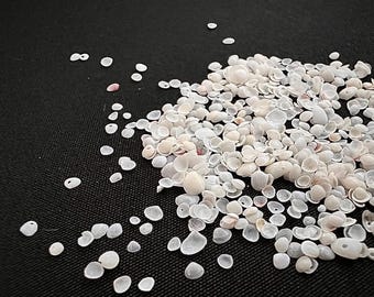 MICRO Clam Shells (1-5mm) • Tiny Seashells for Crafts • Mini Beach Decor Supplies