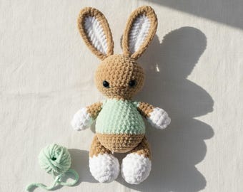 Crochet Bunny Pattern PDF, Amigurumi Rabbit Plush Toy, Beginner Friendly (Digital Download)