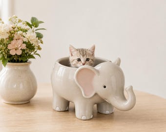 STL-bestand olifantenplanter | Schattige olifant bloempot | Vetplantenbak STL | 3D-print plantenpot | Digitale download