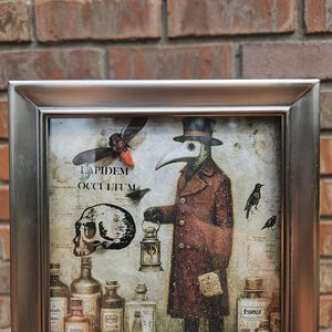 Curio Plague Doctor And Devil Cicada apothecary Style taxidermy art.   Malden Black Velvet Frame