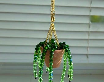 Green Queen, Plant Sun Catcher