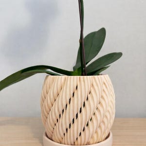 Peut inclure: Un pot de fleurs texturé de couleur crème avec un motif tressé, contenant une plante à feuilles vertes. Le pot repose sur une soucoupe assortie. La plante a une tige violet foncé et est placée sur un fond clair.