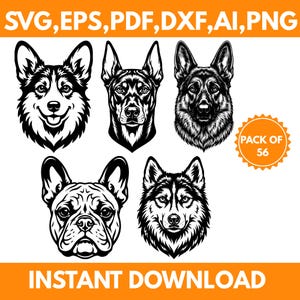 Op de afbeelding: Een digitale collectie van 56 zwart-wit illustraties van hondenkoppen, waaronder een Corgi, Dobermann, Duitse Herder, Franse Bulldog en Husky. De afbeelding bevat de tekst SVG, EPS, PDF, DXF, AI, PNG, PACK OF 56 en INSTANT DOWNLOAD.