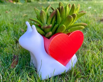 Adorable Snail with Heart Shell Planter | Succulent & Air Plant Pot
