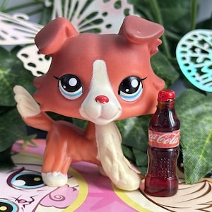 Tienda de mascotas LPS Aftermarket 1542 Perro Collie Rojo Blanco Principal 5 con accesorio