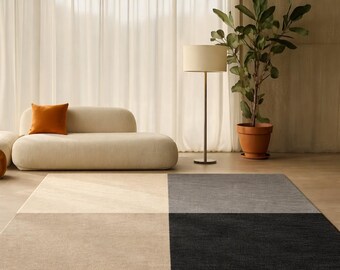 May include: A modern living room scene featuring a beige sofa with an orange pillow, a floor lamp, and a large potted plant. A four-sectioned rug in beige, light gray, dark gray, and black covers the floor.