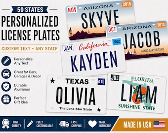 Custom State License Plate, Personalized Front Car Tag, Novelty Vanity Plate, Kids Bike ATV UTV Plate, 3x6 4x7 6x12 All States