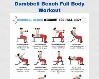 Dumbbell Bench Full Body Workout Printable, Chest & Back Exercise Chart, Home Gym Dumbbell Routine Poster, Upper Body and Core Fitness PDF