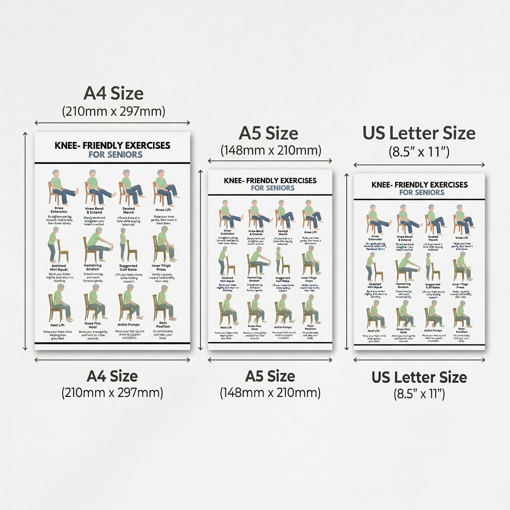 Knee Friendly Exercises for Seniors Printable, 12 Gentle Chair ...