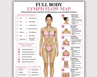Lymfstroomkaart voor het hele lichaam afdrukbare pdf, anatomiegrafiek lymfedrainagesysteem, wellnessgids, poster circulatieondersteuning digitale download