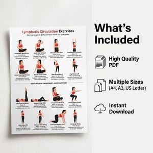 Pu&ograve; includere: Un poster bianco con il titolo "Esercizi di circolazione linfatica" e illustrazioni di vari esercizi di stretching delicati. Il poster include anche il testo "Cosa &egrave; incluso", "PDF di alta qualit&agrave;", "Formati multipli (A4, A3, US Letter)" e "Download istantaneo".