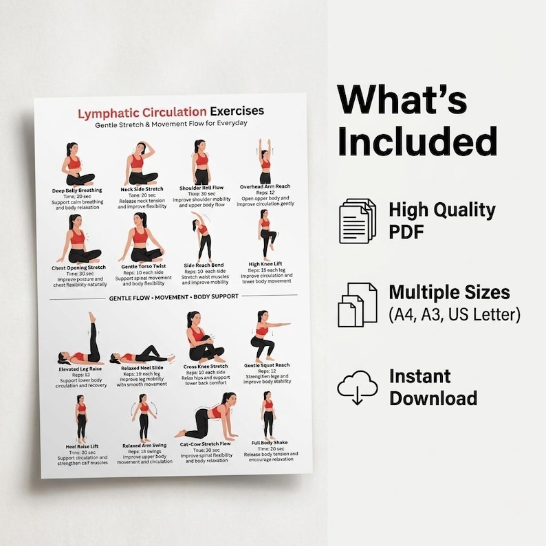 Pu&ograve; includere: Un poster bianco con il titolo "Esercizi di circolazione linfatica" e illustrazioni di vari esercizi di stretching delicati. Il poster include anche il testo "Cosa &egrave; incluso", "PDF di alta qualit&agrave;", "Formati multipli (A4, A3, US Letter)" e "Download istantaneo".