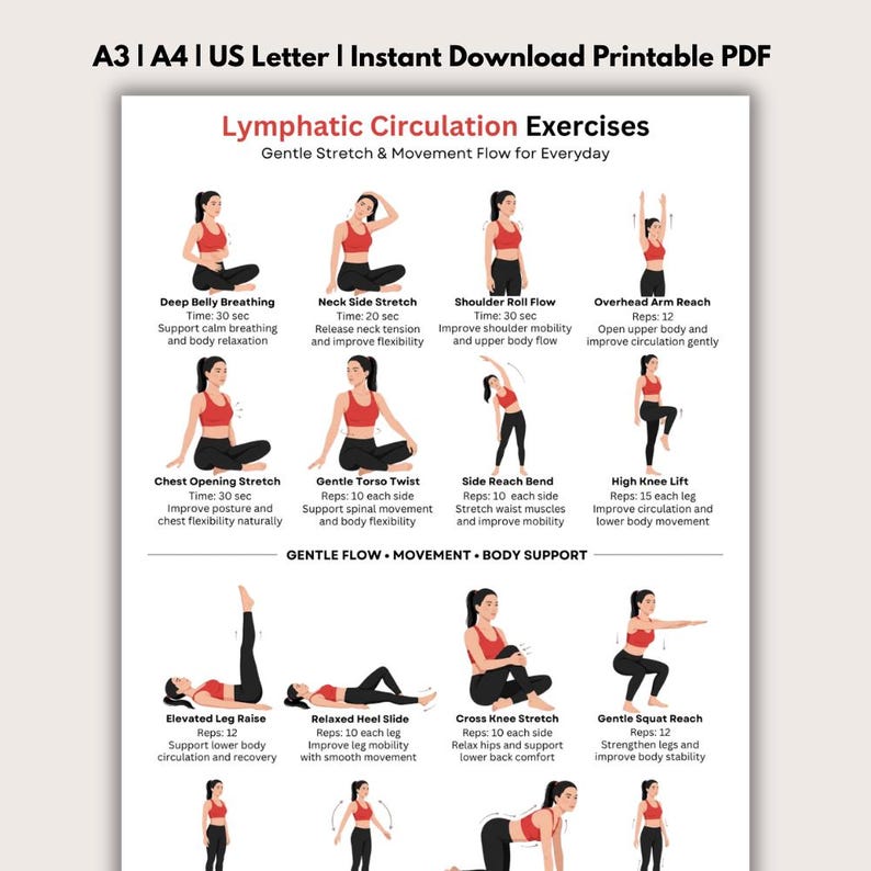 Pu&ograve; includere: PDF stampabile con esercizi per la circolazione linfatica. Gli esercizi includono respirazione addominale profonda, allungamento laterale del collo, flusso di rotazione delle spalle, allungamento delle braccia sopra la testa, allungamento dell'apertura del torace, torsione delicata del busto, piegamento laterale, sollevamento del ginocchio alto, ecc.