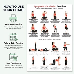 Pu&ograve; includere: Un grafico bianco intitolato "Esercizi di circolazione linfatica" con illustrazioni di vari esercizi di stretching. Il grafico include istruzioni su come usarlo, scaricarlo e stamparlo, seguire una routine quotidiana e rimanere costanti.