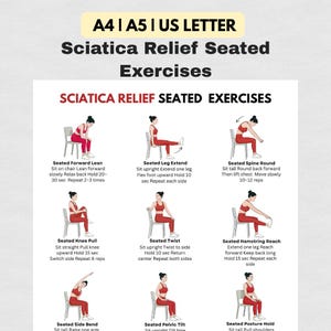 Op de afbeelding: Een diagram met zittende oefeningen voor ischiasverlichting. De afbeelding toont negen verschillende oefeningen, elk met een visuele weergave van een persoon die de oefening uitvoert en korte instructies. De oefeningen omvatten rekoefeningen en bewegingen.