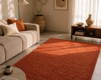 Terracotta Rug Living Room, Burnt Orange Area Rug, Modern Boho Rug, Handmade Tufted Carpet, Neutral Home Decor Rug, Cozy Bedroom Rug