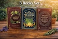 3 Books Set – Natural Healing Handbook  | Ancient Herbal Remedies Guide | Home Herbal Recipe Book | Wellness & Self Care Gift product logo