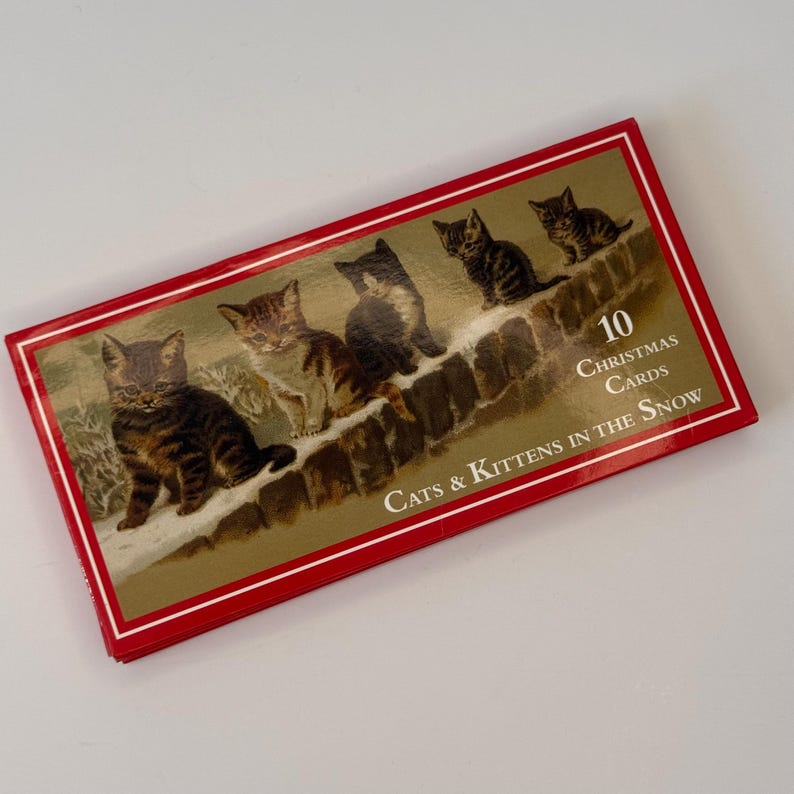 May include: A rectangular box of 10 Christmas cards featuring a gold-toned illustration of four tabby kittens sitting on a stone wall covered in snow. The box has a red border and the text "10 Christmas Cards Cats & Kittens in the Snow".