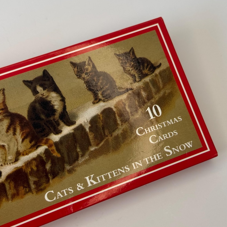 May include: A rectangular box of 10 Christmas cards featuring a gold-toned background with illustrations of kittens sitting on a snow-covered wall. The text on the box reads 10 Christmas Cards and Cats & Kittens in the Snow in white lettering.