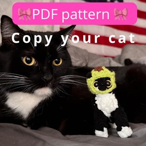 May include: A black cat with white markings and yellow eyes is next to a small, crocheted cat toy. The toy is black and white with a green hat. Text on the image reads "PDF pattern" and "Copy your cat."