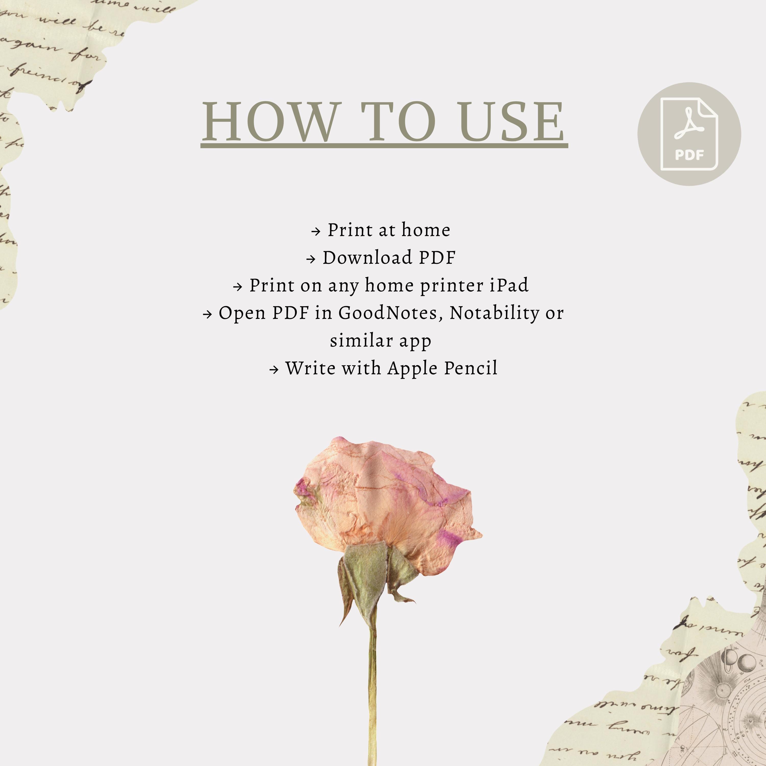 Soft Weekly Planner Canva + PDF Bundle Digital Download Editable ...