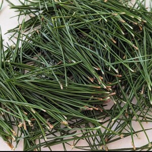 May include: A collection of loose, dark green pine needles scattered together. Each needle is thin, elongated, and pointed, featuring a small, light brown woody base where it was detached from the branch, creating a textured, natural pile.