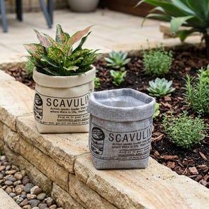 May include: Two canvas plant pots, one beige and one gray, sit on a stone wall. The beige pot holds a plant with green and pink leaves. Both pots have the text "SCAVULI" and a quote printed on them.