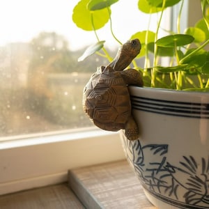 Puede incluir: Una figura decorativa de tortuga marrón agarrada al lado de una maceta de cerámica blanca y azul con estampado floral. Plantas verdes de hojas crecen dentro de la maceta, cerca de una ventana.