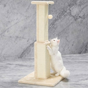 Tall Cream White Cat Scratching Post with Sisal Rope and Hanging Ball