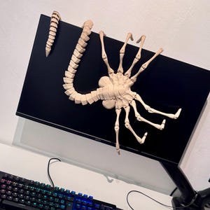 Op de afbeelding: Een beige, gearticuleerd, meerbenig wezenmodel met een lange, gesegmenteerde staart, bevestigd aan de boven- en voorkant van een zwarte computermonitor. Het wezen heeft een centraal lichaam met acht dunne, gewrichtige ledematen.