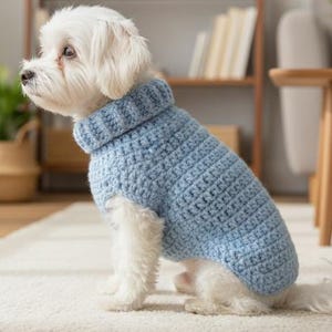 Puede incluir: Un perro blanco pequeño que lleva un suéter de punto grueso azul claro con cuello alto. El perro está sentado en una alfombra de color crema, con una estantería de madera y plantas en macetas en el fondo.