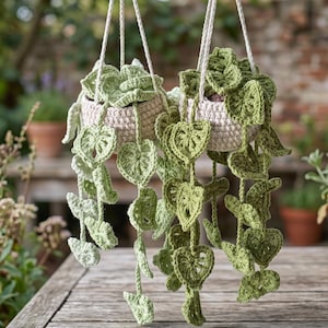 Puede incluir: Dos cestas colgantes de ganchillo para plantas con hojas verdes colgantes. Las cestas son de color beige claro y están suspendidas por cuerdas blancas. Las hojas son una mezcla de verde claro y medio, creando una estética natural.