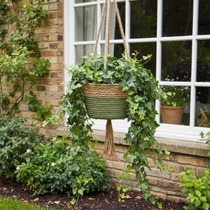 Op de afbeelding: Hangende geweven mandenplanter met groene en bruine kleuren, gevuld met groene klimop. De mand wordt opgehangen door drie touwen en heeft een decoratieve kwast. De planter wordt buiten tentoongesteld in de buurt van een raam en een bakstenen muur.