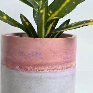 Könnte beinhalten: Ein zylindrischer Pflanzentopf mit zweifarbigem Design, bestehend aus einer glatten, hellgrauen Betonbasis und einem strukturierten, altrosa oberen Bereich. Eine Krotonpflanze mit gelb panaschierten grünen Blättern wächst aus dem Gefäß.