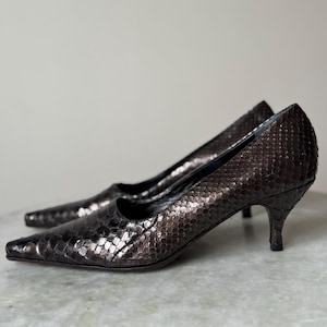 May include: A pair of brown, pointed-toe pumps with a snakeskin pattern. The heels are a stiletto style. The shoes are set against a neutral background.