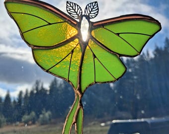 Luna Motte Pflanzenstecker Sonnenfänger