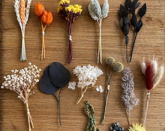 Kit de flores secas para arte con resina, caja de flores DIY para manualidades, flores secas de terracota para velas, suministros para mini ramos, decoración de otoño