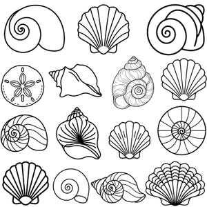 Seashell PNG Bundle | Coastal Ocean Summer Graphics (Digital Download)