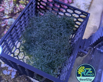 ReefZip Cheato Basket -Macro Algae Grow System for Refugiums/Sumps,Chaetomorpha