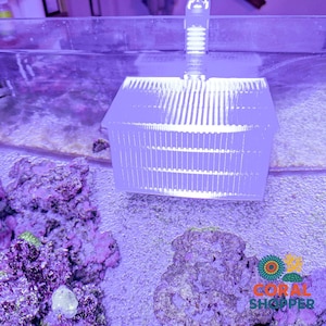 May include: A clear acrylic aquarium acclimation box with a rectangular shape and vertical slats for water flow. The box features a top lid and a mounting bracket that hangs over the edge of the glass tank, positioned above purple coral rocks.