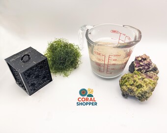 Refugium/Reef Aquarium Starter Kit, Chaeto, Live rock and Sand, Pods - Free Algae Scraper