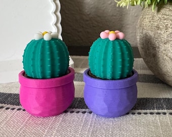 Cactus Clicker Fidget Toy: Desk Accessory, Stress Relief, Focus Tool, Sensory, Party Favors