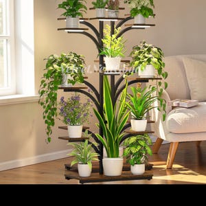 May include: A multi-tiered, black metal plant stand with wooden shelves, showcasing various potted plants with green foliage and white pots. The stand has a tree-like design and is placed on a wooden floor.