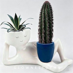 Lazy Abstract Human Resin Planter Holder Cute Smiley Face Succulent Flower Pot Desktop Decor Creative Home Tabletop Ornament Gift