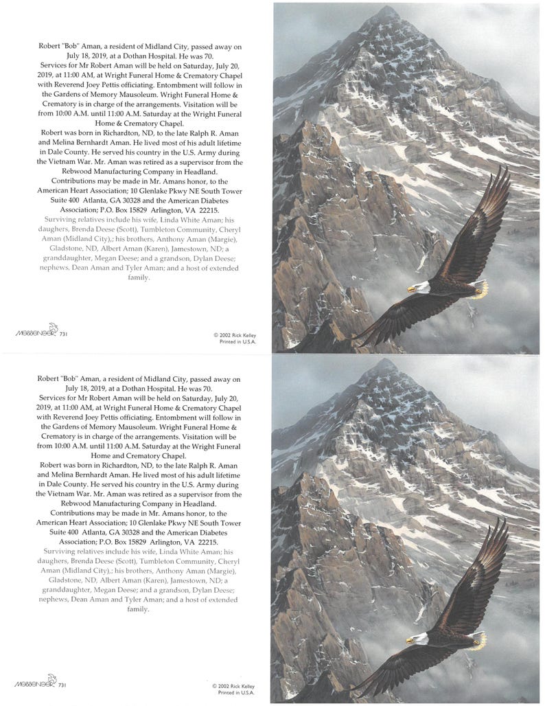 May include: A memorial announcement with text about Robert "Bob" Aman, who passed away in 2019. The announcement is set against a backdrop of a mountain range and a soaring bald eagle.