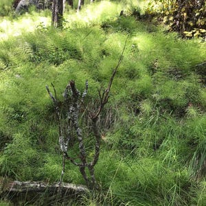 Könnte beinhalten: Ein Satz von drei Keramik-Nisttöpfen in Blau-, Grün- und Weißtönen. Die Schalen haben eine gesprenkelte Glasur und ein schlichtes, modernes Design. Die größte Schüssel hat einen Durchmesser von etwa 15 cm.