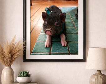 Hamson and His Best Friend Pet Pig and Dog Print Animal Friendship Photography Rustic Cottage Co Country Home Decor