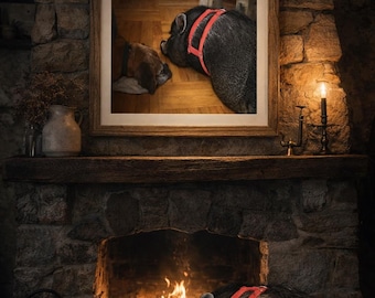 Hamson and His Best Friend Pet Pig and Dog Print Animal Friendship Photography Rustic Cottage Co Country Home Decor
