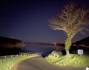 Donegal Ireland Coastal Tree Print, Irish Landscape Photography, Night Wall Art, Rustic Cottage Decor, Digital Download